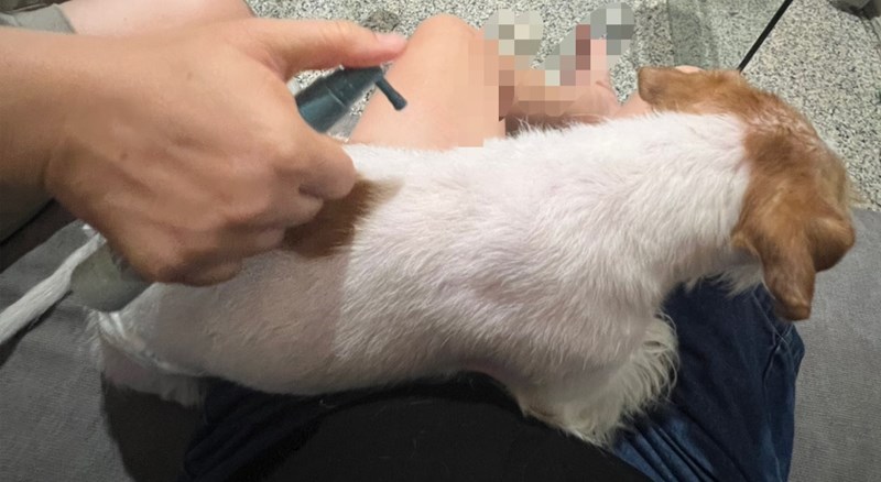 女人知己試用大隊,口碑行銷,部落客行銷,Goodmofamily歸毛家族 寵物肌膚救星組,歸毛家族 寵物肌膚救星,舒敏保濕洗毛乳,護膚噴液,精萃營養霜,博士30年生技專業,給足皮膚營養保護力,無抗生素 無類固醇,神經醯胺,19種綜合胺基酸,榮獲SNQ國家認證,上萬毛爸媽見證,3週幫助皮膚健康,NO.1寵物肌膚口碑霸主,寵物第一護膚領導品牌